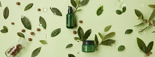 韓国チェジュ島の自然の恵みから生まれた化粧品「innisfree(イニスフリー)」の日本第1号店、3月16日表参道にオープン! 韓国チェジュ島の自然の恵みから生まれた化粧品「innisfree(イニスフリー)」の日本第1号店、3月16日表参道にオープン!