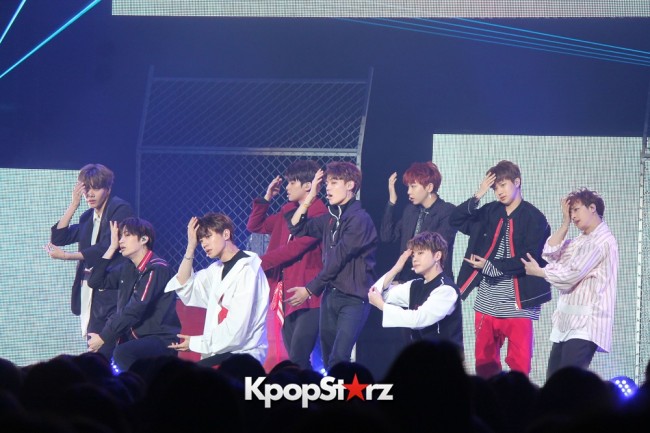 UNB UNB