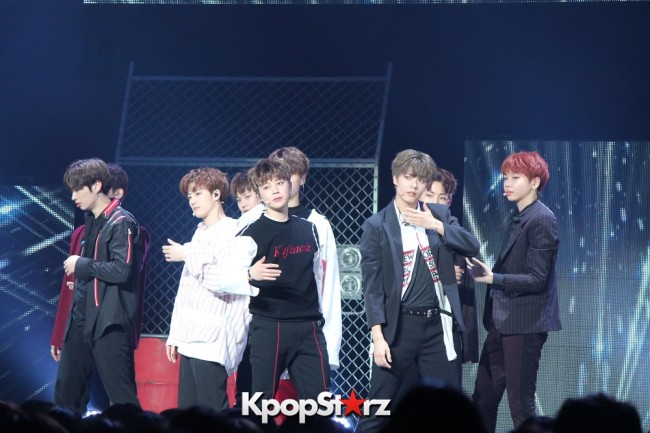 UNB UNB