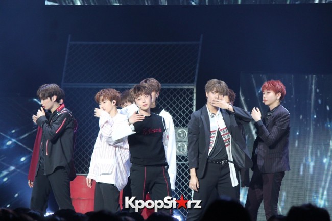 UNB UNB