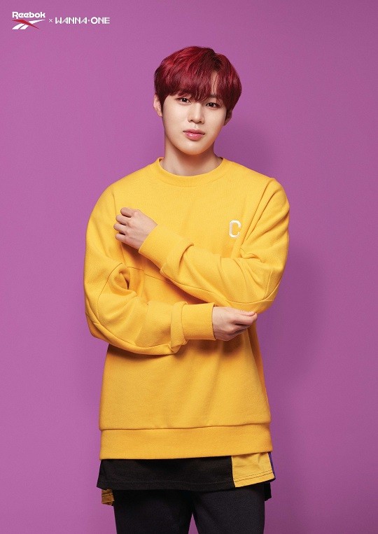 Wanna One Wanna One