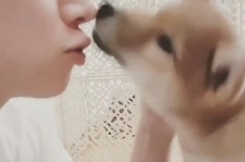 SUPER JUNIORヒチョル、愛犬とのポッポ動画公開！