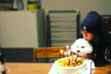 EXO セフン、愛犬と誕生日を祝う微笑ましい姿が話題に