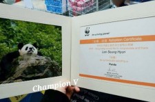 BIGBANGのV.I、パンダへの後援証書プレゼントがネットで話題に