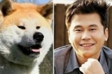 犬と似ている韓国の芸能人・著名人達の比較写真