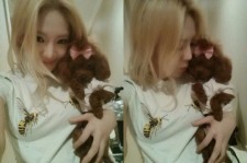 少女時代ヒョヨン、愛犬と撮った写真で近況を公開！