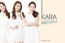 KARA、新メンバーを決めるオーディション番組『KARA Project』の放送が決定！