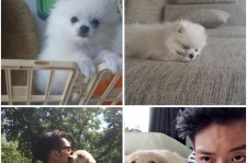 CNBLUEジョンシン＆ジョンヒョン、ツイッターで愛犬自慢。微笑ましい親バカぶり？